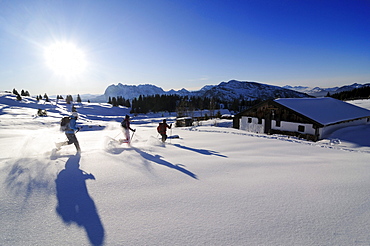 People snowshoeing in snowy landscape, Eggenalm, Reit im Winkl, Chiemgau, Upper Bavaria, Bavaria, Germany, Europe