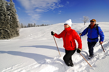 People hiking on winter hiking trail in snowy landscape, Hemmersuppenalm, Reit im Winkl, Chiemgau, Bavaria, Germany, Europe