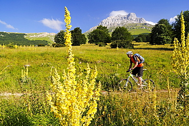 Mountain biker in idyllic landscape at Corno Grande, Gran Sasso National Park, Abruzzi, Italy, Europe