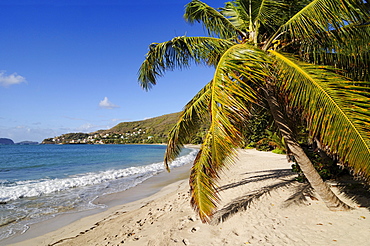 Friendship Bay, Bequia, Saint Vincent, Caribbean