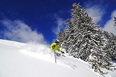 Skier in the deep powder snow, Reit im Winkl, Chiemgau, Upper Bavaria, Bavaria, Germany, Europe