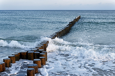 Groyne, Ahrenshoop, Baltic Sea, Fischland-Darss-Zingst, Mecklenburg-Western Pomerania, Germany