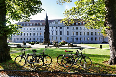 Rubenow Monument, Rubenow Square, University of Greifswald, Greifswald, Mecklenburg-Western Pomerania, Germany