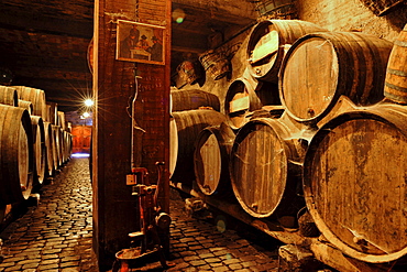 Ruta del Vino, Bodega Monje, El Sauzal, wooden barrels in wine cellar, Tenerife, Canary Islands, Spain