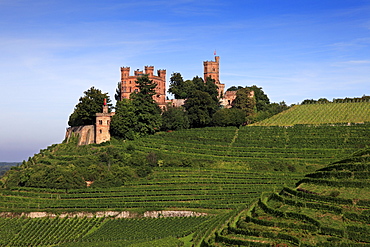 Ortenberg castle, near Offenburg, Ortenau region, Black Forest, Baden-Wuerttemberg, Germany