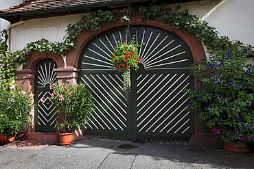 Gate of a vinery, Bickensohl, Kaiserstuhl, Breisgau, Black Forest, Baden-Wuerttemberg, Germany