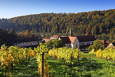 Bronnbach Cistercian monastery, Tauber valley, Romantic Road, Baden-Wurttemberg, Germany