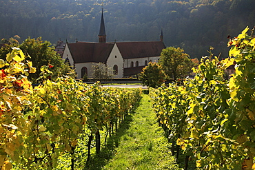 Bronnbach Cistercian monastery, Tauber valley, Romantic Road, Baden-Wurttemberg, Germany