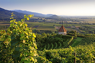 Oelberg chapel near Ehrenstetten, view to Staufen castle, Staufen im Breisgau, Breisgau-Hochschwarzwald, Black Forest, Baden-Wuerttemberg, Germany