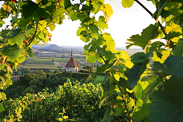 Oelberg chapel near Ehrenstetten, view to Staufen castle, Staufen im Breisgau, Breisgau-Hochschwarzwald, Black Forest, Baden-Wuerttemberg, Germany