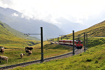 Train Matterhorn-Gotthard-Bahn near Oberalppass, Andermatt, Canton of Uri, Switzerland