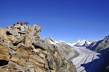 View to mount Eggishorn, Aletsch Glacier in background, Canton of Valais, Switzerland