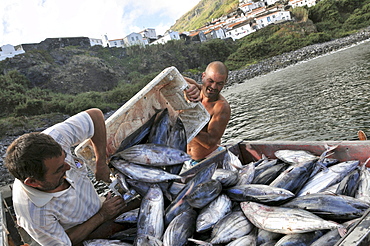 Fishermen and their catch at the harbour of Vila Nova, Island of Corvo, Azores, Portugal, Europe