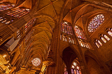 Low angle view at the vault of the cathedral Santa Maria de Regla, Leon, Province of Leon, Old Castile, Castile-Leon, Castilla y Leon, Northern Spain, Spain, Europe