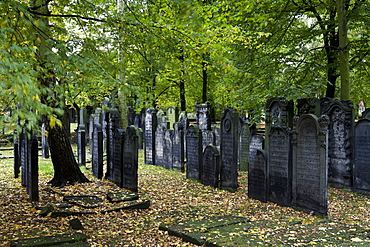 Gravestones at jewish cemetery at the district Altona, Hanseatic city of Hamburg, Germany, Europe