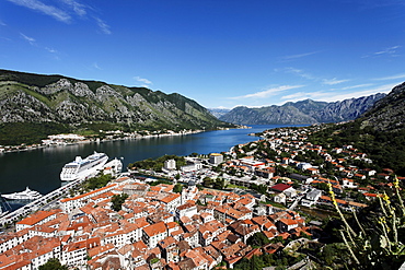 City view of Kotor and Bay of Kotor, Montenegro, Europe