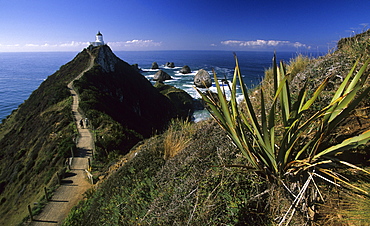 Lighthouse at Nugget Point, Catlin coast, New Zealand