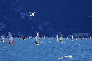 Windsurfer nearby Torbole, Lake Garda, Trento, Italy