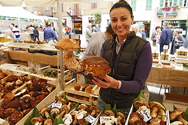 Giant Mushrooms, Market, Alba, Piedmont, Italy