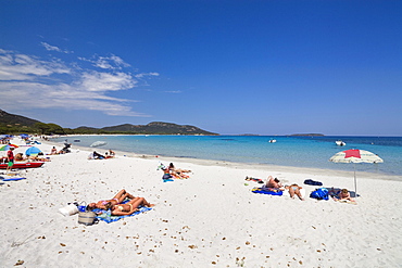 Palombaggia beach, south-east coast, Corsica, France, Europe