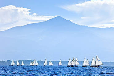 Chiemsee Regatta, Chiemsee, Chiemgau, Upper Bavaria, Bavaria, Germany