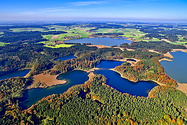 Aerial view of the Eggstatt Lakes, Eggstatt Lakes Area, Nature Reserve, Chiemgau, Upper Bavaria, Bavaria, Germany