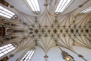 Arched roof of Blaubeuren monastery, Blaubeuren, Baden-Wuerttemberg, Germany, Europe