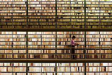 Augusteerhalle in the Herzog August Bibliothek, Wolfenbuettel, Lower Saxony, Germany, Europe