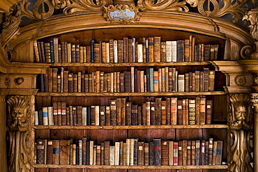 Library in the monastery of Waldsassen, Upper Palatinate, Bavaria, Germany