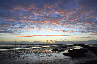 Mudflat in Spieka near Nordholz, North Sea coast of Lower Saxony, Germany