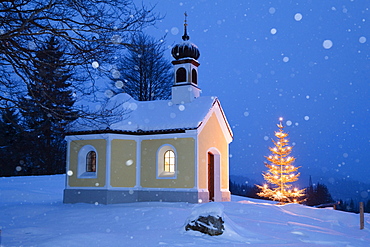 chapel with christmas tree at snowfall, Upper Bavaria, Germany, Europe