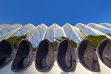 Close up of The Umbracle (detail), a landscaped walk with plant species indigenous to Valencia, City of Arts and Sciences, Cuidad de las Artes y las Ciencias, Santiago Calatrava (architect), Valencia, Spain