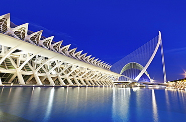 The Science Museum, Museu de les Ciencies PrÃŒncipe Felipe and bridge, Puente de l'Assut de l'Or, City of Arts and Sciences, Cuidad de las Artes y las Ciencias, Santiago Calatrava (architect), Valencia, Spain