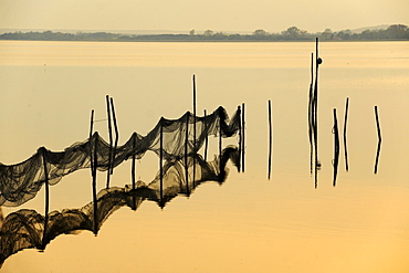 Fishing nets in twilight, Achterwasser, Krummin, Usedom, Mecklenburg-Western Pomerania, Germany