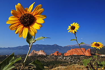 Garden of the Gods, Colorado Springs, Colorado, USA, North America, America