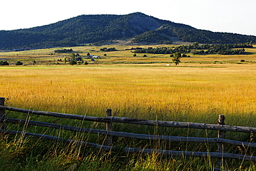 Field near Ouray, Rocky Mountains, Colorado, USA, North America, America