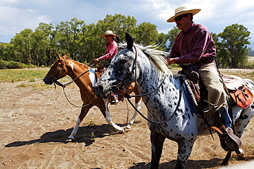 Zapata Ranch is a working ranch where tourists can stay and work, Alamosa, Alamosa County, Colorado, USA, North America, America