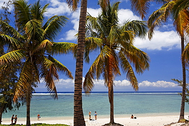 People and palm trees on the beach, Saint Gilles les Bains, La Reunion, Indian Ocean