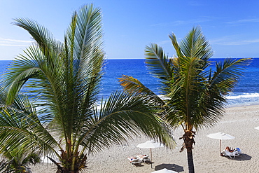 Palm trees on the beach at Hotel Saint Alexis, Saint Gilles les Bains, La Reunion, Indian Ocean