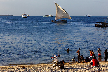 Dhows sailing along Stonetowns city beach, Zanzibar City, Zanzibar, Tanzania, Africa