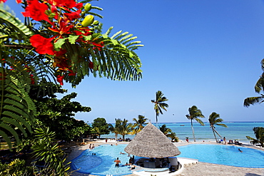 Pool of the Karafuu Resort on the waterfront, Dongwe, Zanzibar, Tanzania, Africa