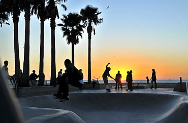 Skateboarders at Venice Beach at sunset, Santa Monica, Los Angeles, Los Angeles, California, USA, America