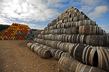 Empty oak barrels at Speyside Cooperage, Craigellachie, Aberdeenshire, Scotland