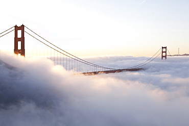 Golden Gate Bridge in the morning fog, Symbol of San Francisco and California, San Francisco, California, United States of America, USA