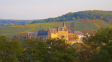 Kloster Calvarienberg, Ahrweiler, Bad Neuenahr-Ahrweiler, Ahr, Eifel, Rhineland-Palatinate, Germany, Europe