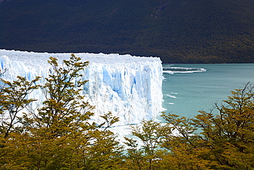 Perito Moreno glacier, Lago Argentino, Los Glaciares National Park, near El Calafate, Patagonia, Argentina