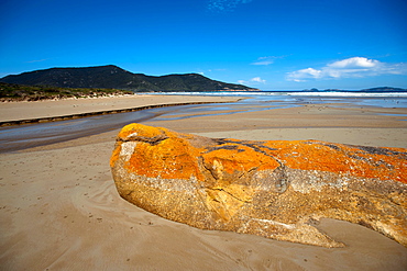 Oberon Bay, Wilsons Promontory National Park, Victoria, Australia