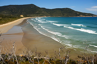 Oberon Bay, Wilsons Promontory National Park, Victoria, Australia