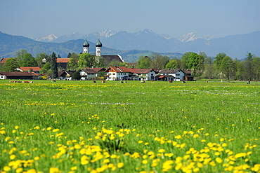 Benediktbeuern with convent and farmhouses, Ammergauer Alps range in background, Benediktbeuern, Upper Bavaria, Bavaria, Germany, Europe