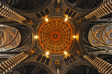 Vault inside of the cathedral, Siena, Tuscany, Italy, Europe